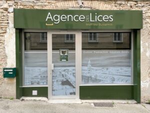 Syndic indépendant à Lyon : un meilleur choix qu’un grand groupe ?